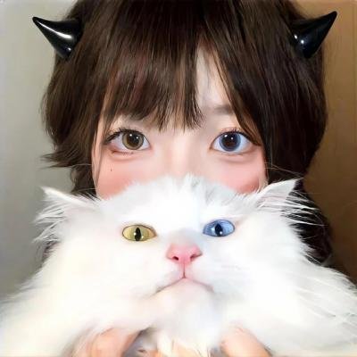 荒野迷案第二季