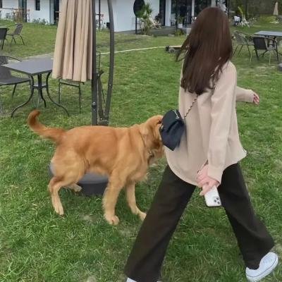 新婚风波
